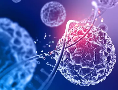What is a Stem Cell?