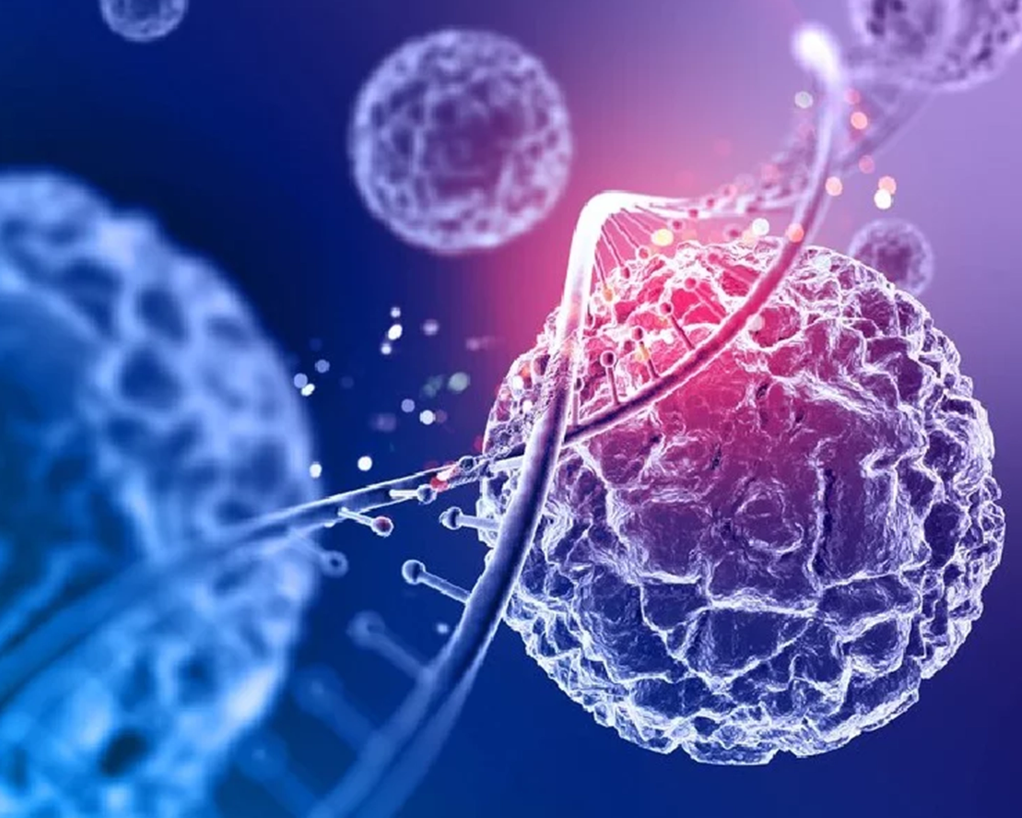 Stemcell